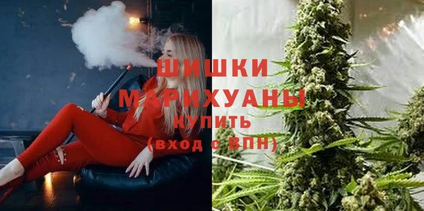 винт Ладушкин