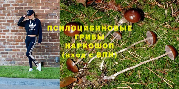 винт Ладушкин