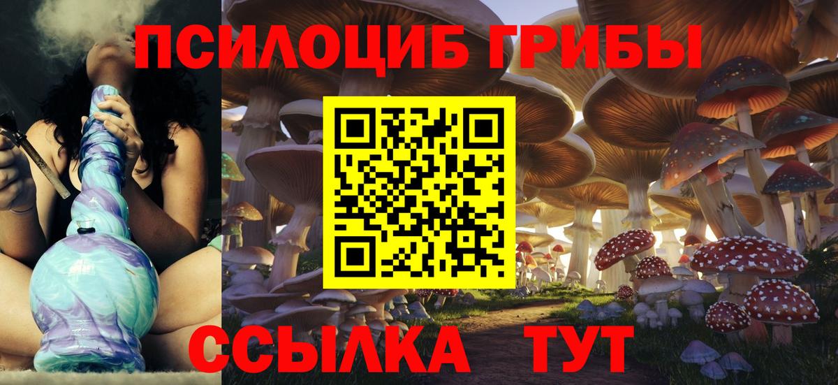 Псилоцибиновые грибы Psilocybine cubensis  Вход с VPN  Псилоцибиновые грибы Cubensis  Рыбинск 