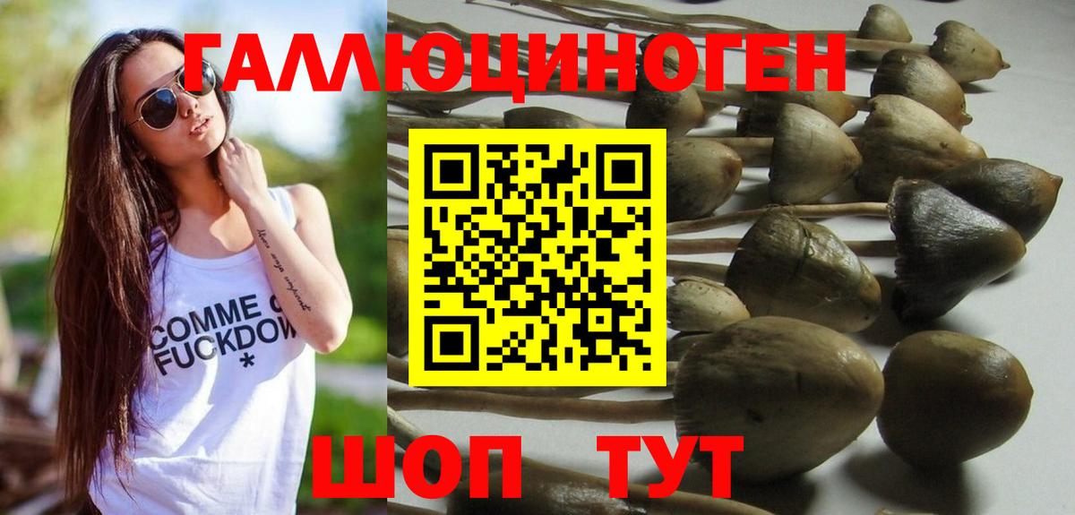 Галлюциногенные грибы Psilocybe  Рыбинск 